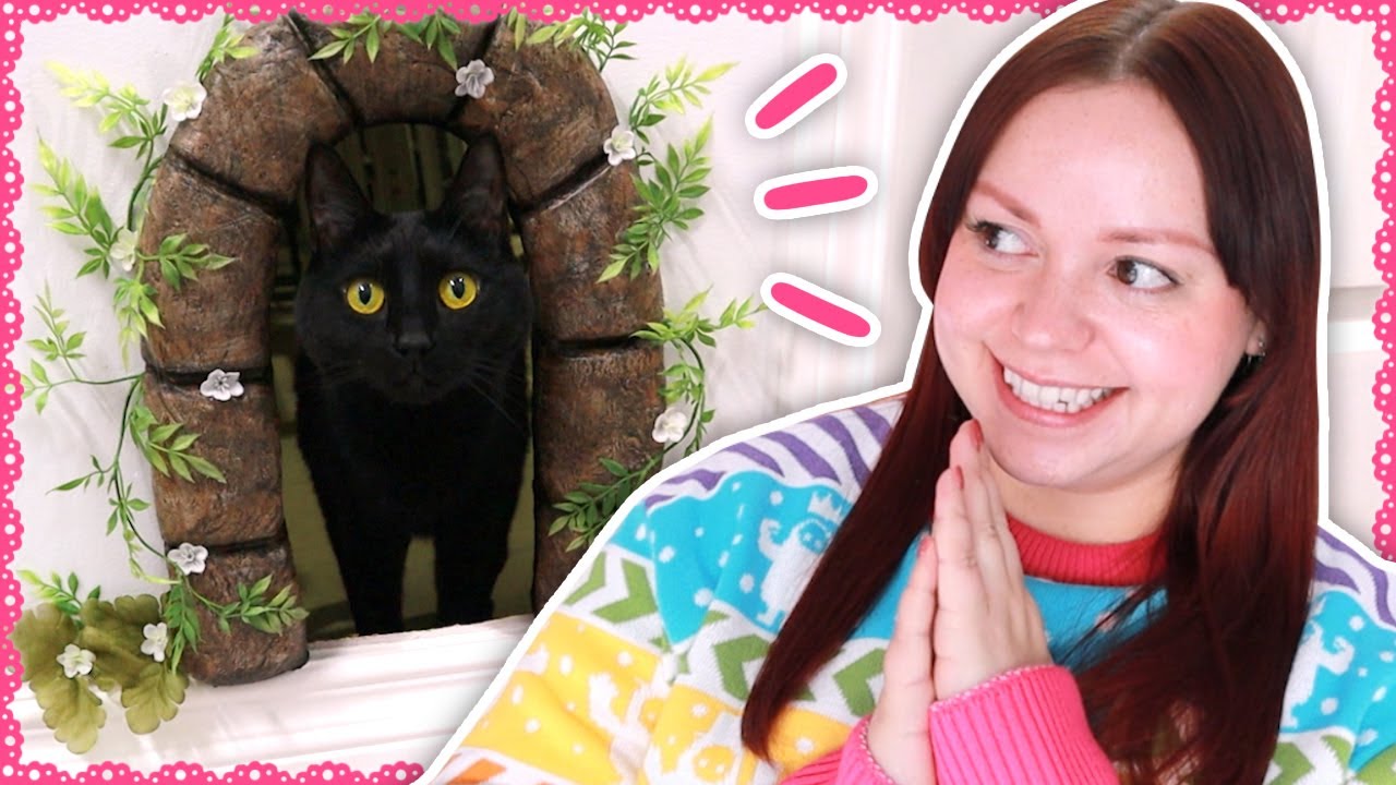 I Made A Cat Door YouTube innovative-ai-powered-cat-door-by-flappie-revolutionizes-pet-access-control