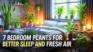 7 Bedroom Plants That Help You Sleep Better & Breathe Fresh Air 7 Best Bedroom Plants For Better Sleep Nasa Approved Air Purifying Plants You Need Tonight