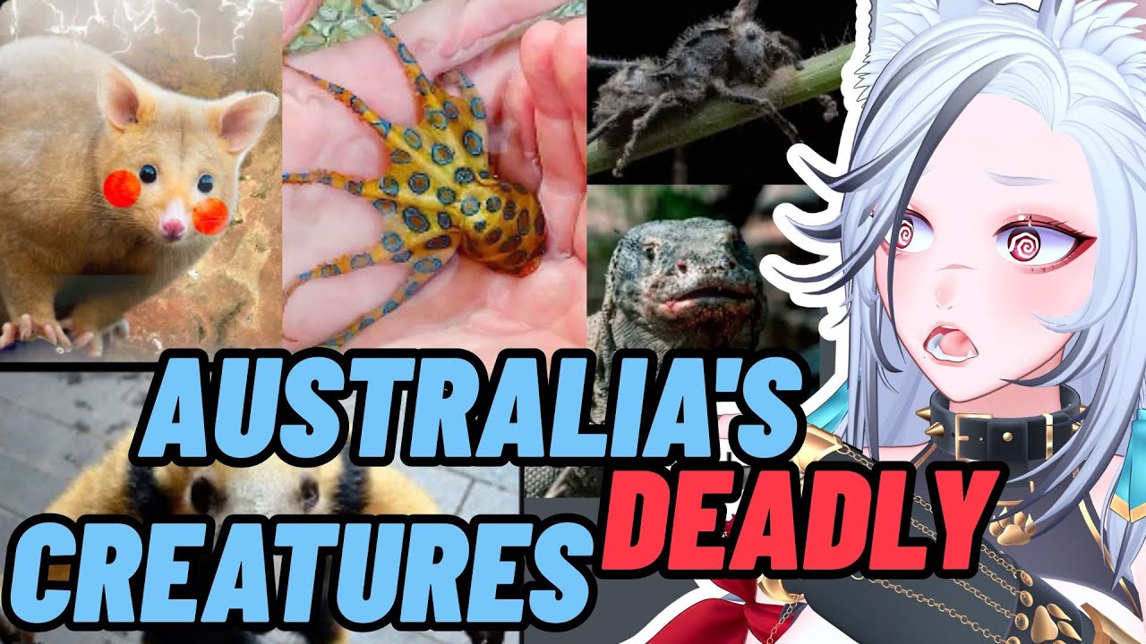HOW DO AUSSIES SURVIVE AUSTALIA??? | More Parz Reaction