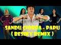 Sandu Ciorba Papu BESIKY REMIX