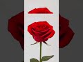 RED RED ROSE Beats Music Remix mp3