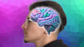 Comment Se Rappeler De Tout. 🧠 (BioHacking)
