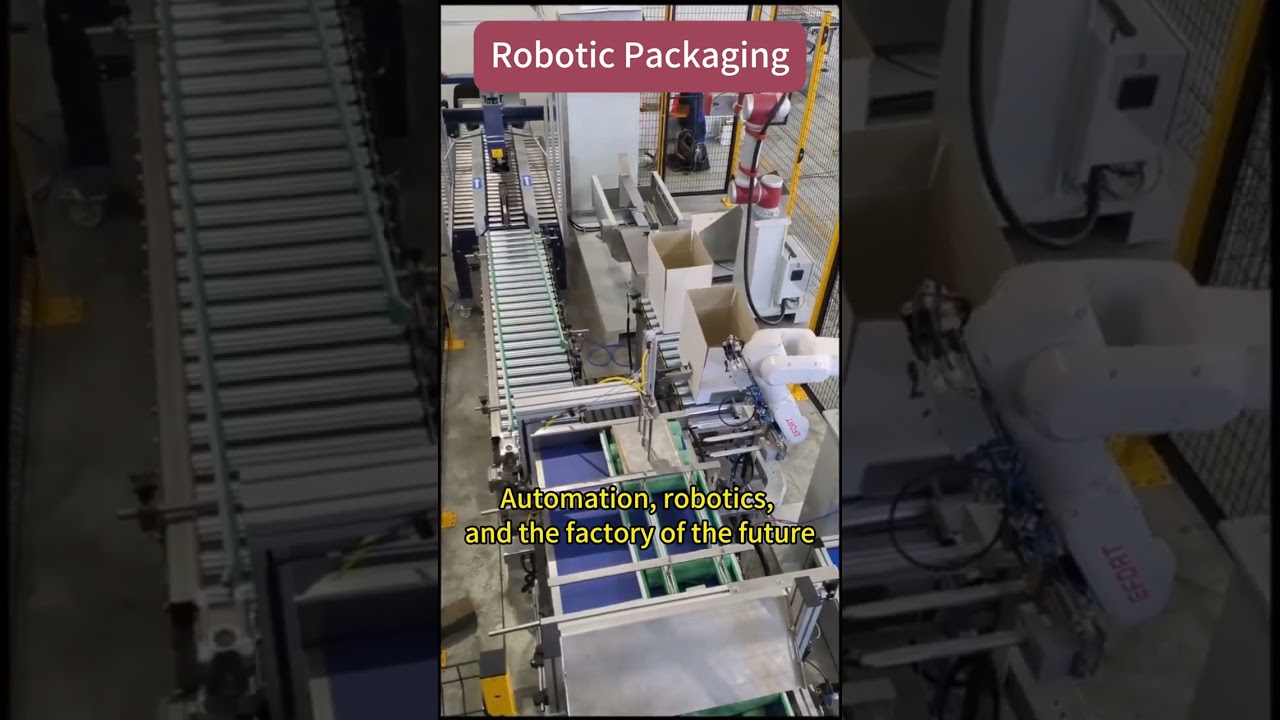 Robots perform their specific roles in different positions in a fully automated factory