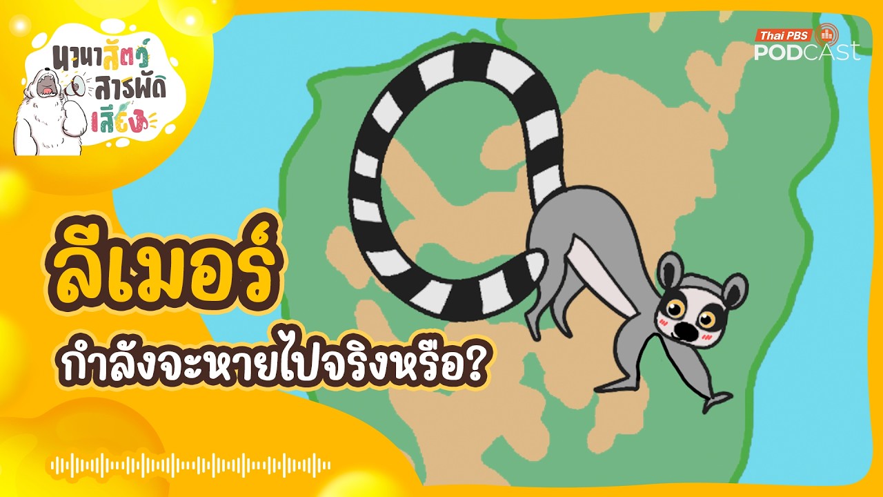 ลีเมอร์ กำลังจะหายไปจริงหรือ? | นานาสัตว์สารพัดเสียง