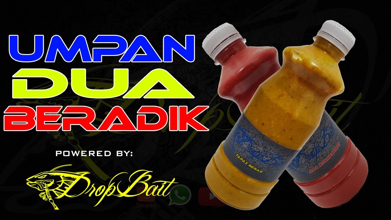 Setting Umpan Patin sungai By DropBait