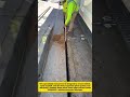 Modern Road Joint Cleaning Tool | Fast & Efficient Asphalt Maintenance