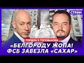 Гордон. Убийство Зеленского, есть ли угроза Харькову, Россия без бензина, фашист Петров у Мосейчук