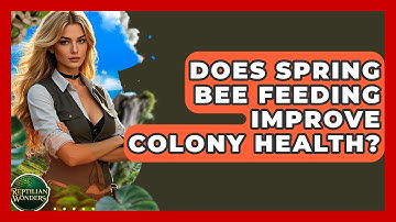 Does Spring Bee Feeding Improve Colony Health? - Reptilian Wonders