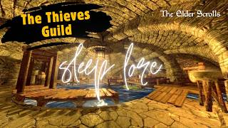 The Guild That Fell to Shadows | Complete Thieves Guild Story | Elder Scrolls Lore for Sleep