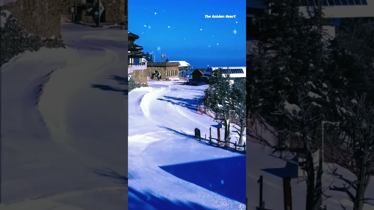 Relaxing moments in winter 