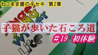 【子猫が歩いた石ころ道＃19】初体験