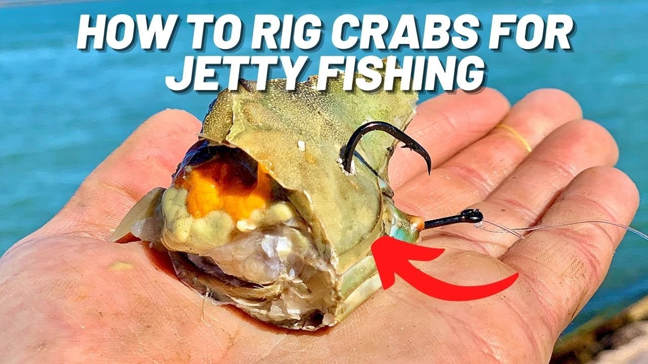 How to Rig Crabs for Jetty Fishing 