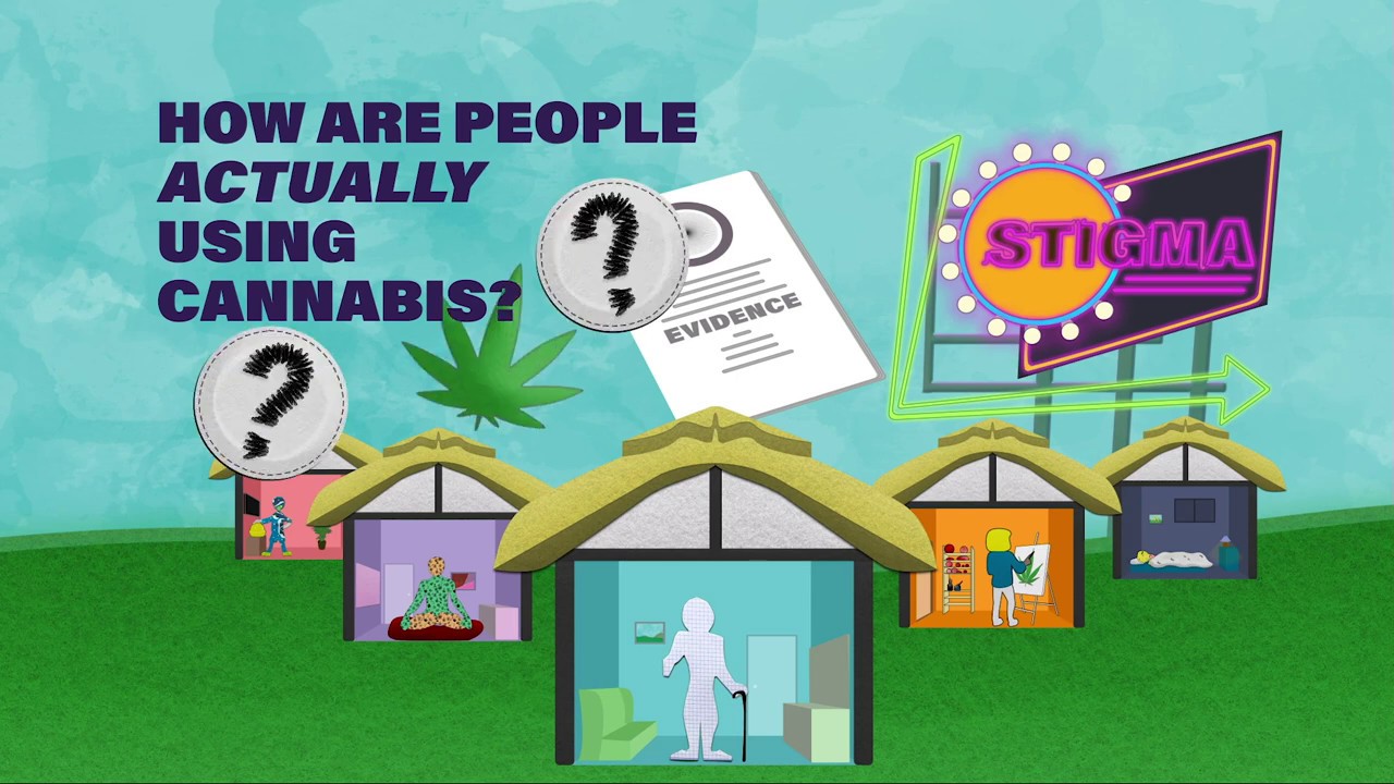 Cannabis Conversations for Service Providers