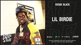 Watch Kodak Black Lil Birdie video