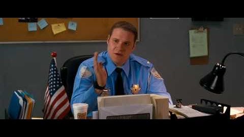 Observe and Report Montage