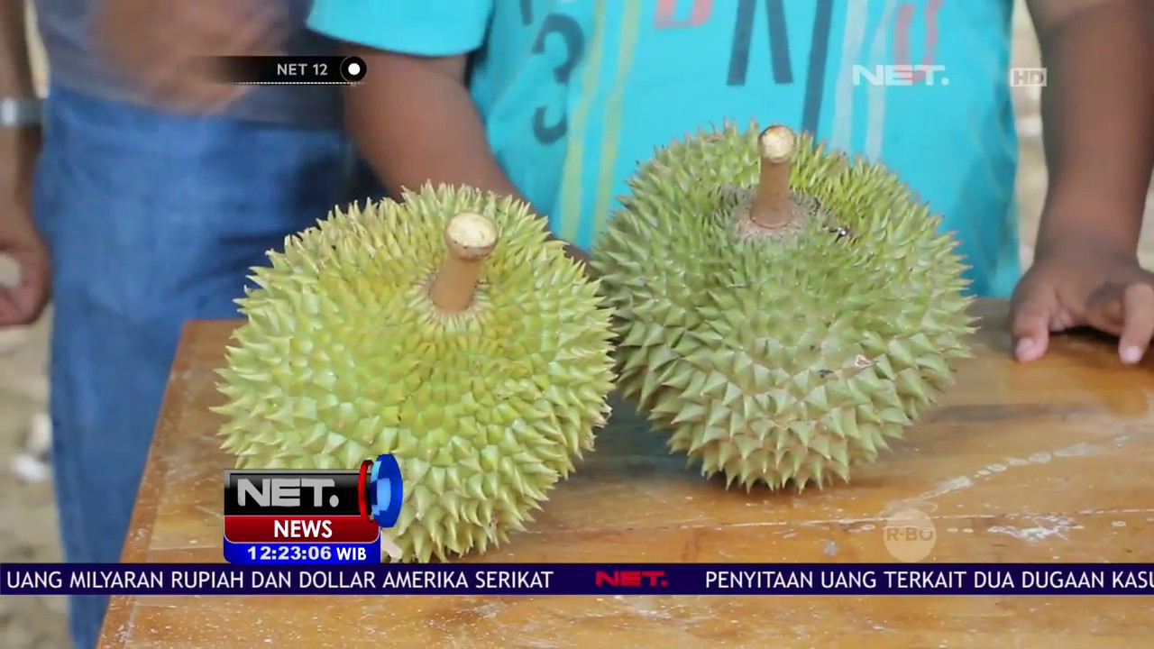 Download 82 Koleksi Gambar Durian Di Pasar  Gratis