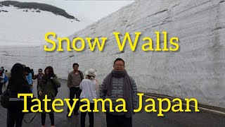 The Snow Walls Of Tateyama Japan