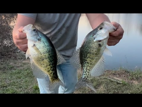 Crappie fishing farm pond (loaded with slabs) 