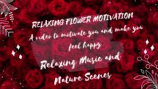 Epic Songs | Flower Lovers  Relaxing Music and Nature Scenes screenshot 5