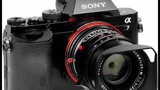 Digital camera Canon EOS 600D | The Fully Automatic Green Square screenshot 5