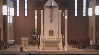 Fifteenth Sunday in Ordinary Time