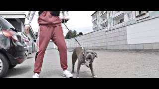 Ego - Gewinn Official Video 4K Prod. D-Low