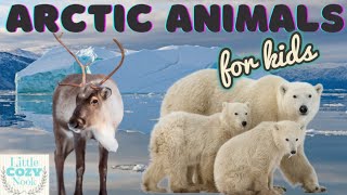 Arctic Animals For Kids Educational READ ALOUD for Children