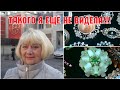 Винтажный магазин ЛАВКА СОРОКИ. Винтажные броши ЧЕХИЯ и СССР. Опять с покупками! Антиквариат. Хобби