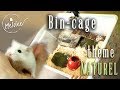 Bin cage : aménagement (partie 2)