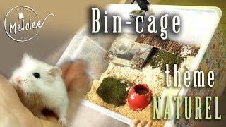 Bin cage : aménagement (partie 2)