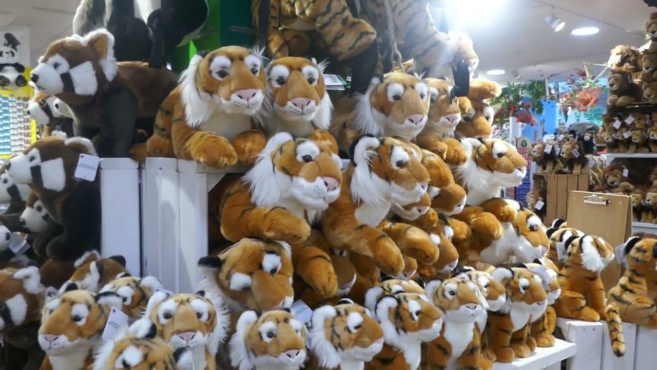 Stuffed Animals Gift Shop London Zoo ZSL London England May 27, 2025 Animals Nature Summer Rain