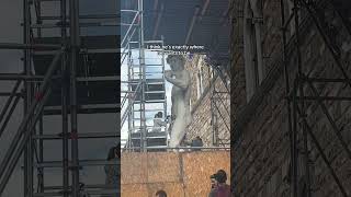 Celebrity Florence 2022, right place, right time! #florenceitaly #billyjoel Profile