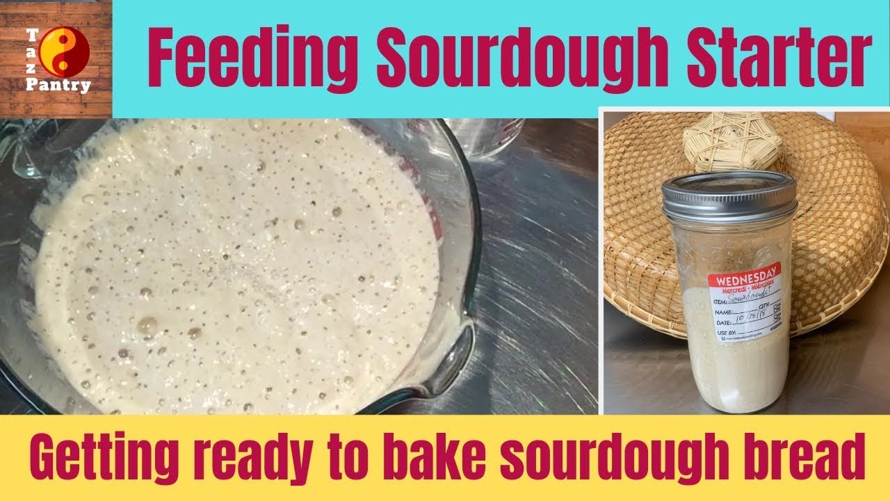 Feeding Sourdough Starter before using in 2019 YouTube