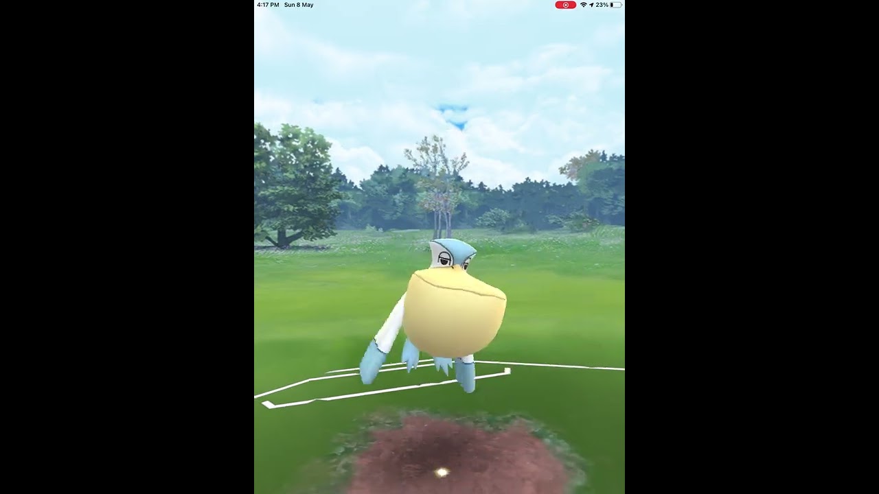 Pogo Flying Cup but Air Adventures about to end