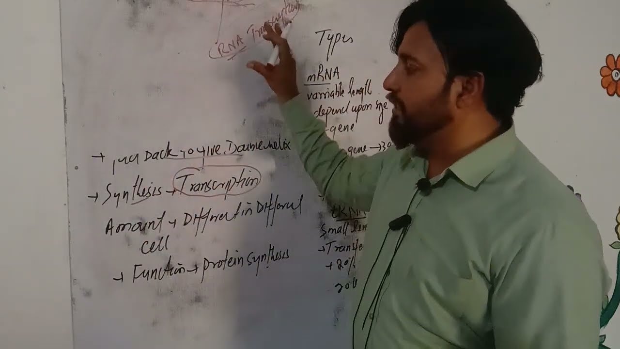 RNA Ribonucleic Acid Types of RNA chapter 2 First year Biology by Prof shafi Ullah Khan