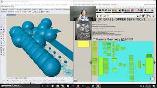 1001 GRASSHOPPER DEFINITIONS (008/1001) PARAM NODES: GEOMETRY - Geometry/Cache/Pipeline/Group/Trans