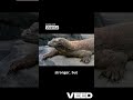 A BUNDLE of BEASTLY Videos For You to Enjoy! #compliation #dinosaur #seamonster #mythology