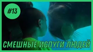 СМЕШНЫЕ ИСПУГИ ЛЮДЕЙ И ЖИВОТНЫХ #13 | ЛУЧШИЕ ИСПУГИ | FUNNY HUB