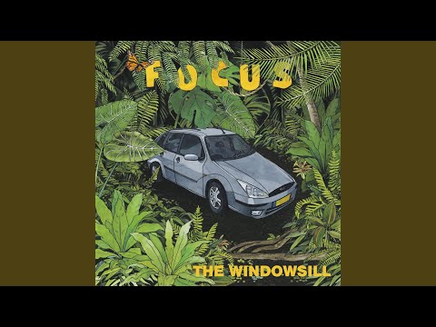 The Windowsill — I Should Know Better