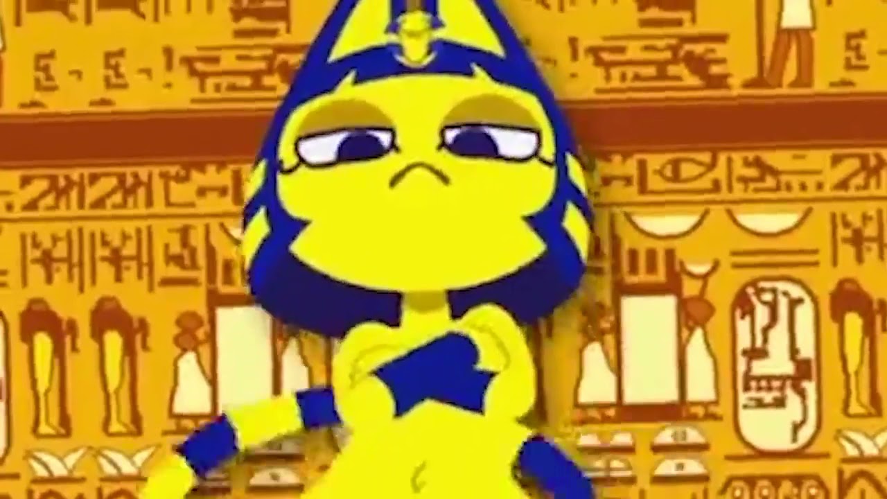 Yellow cat dances moment...