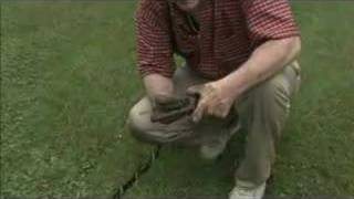Treasure Hunting America EP111 Part2