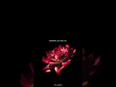 Shy Jai Waetfor Lyrics Shorts Status 