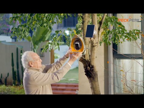 The Gift of Little Wings | How Bird Watching Brings Us Closer