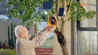 The Gift of Little Wings | How Bird Watching Brings Us Closer