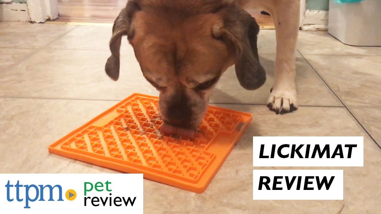 licki mats for dogs