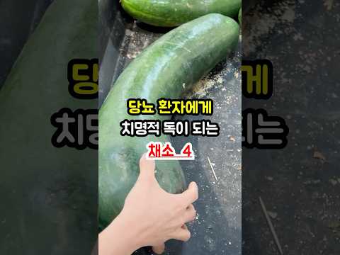 당뇨 환자에게 치명적 독이 되는 채소 4 #건강 #음식