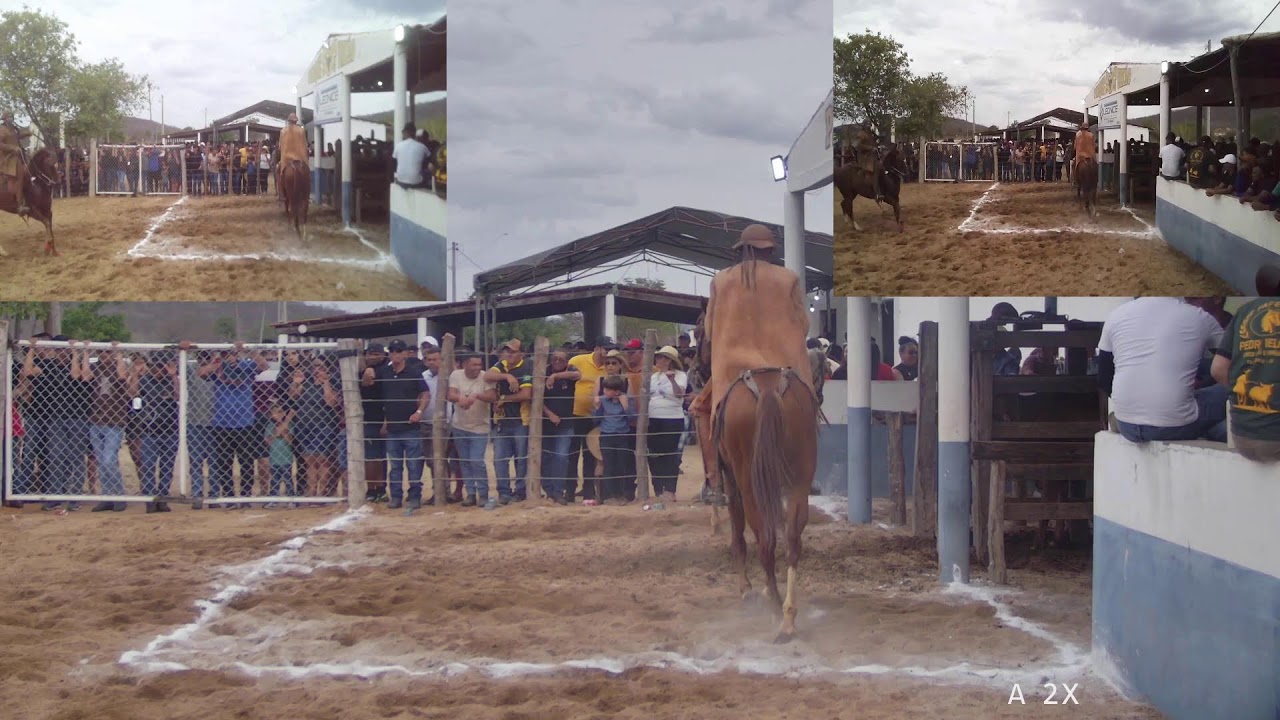 CIRCUITO CEARENSE DAS PEGA DE BOI NO MATO 2025