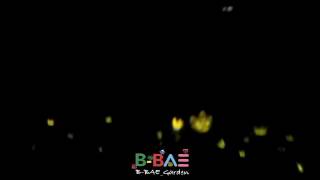 20160702 BIGBANG重慶場FM-BAEBAE(黃飛鴻FOCUS)