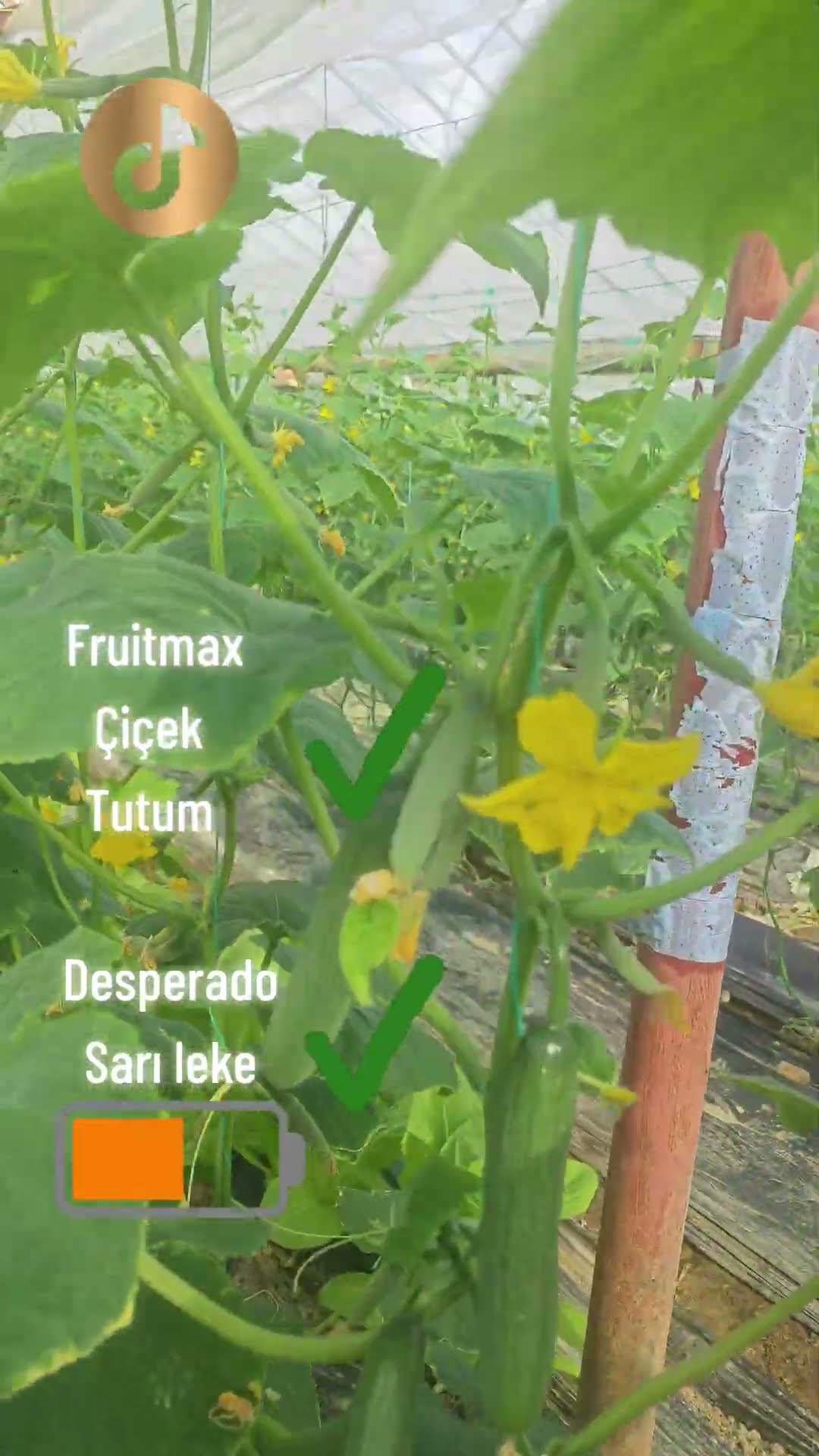 YouTube video kapağı