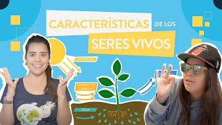 Características de los seres vivos